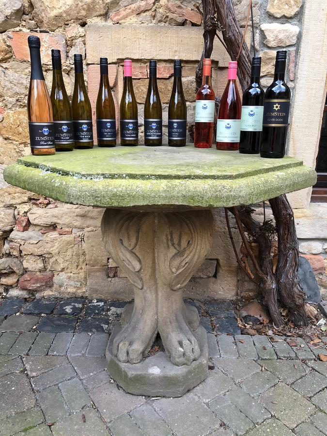 Weingut Zumstein Bad Duerkheim Exterior photo